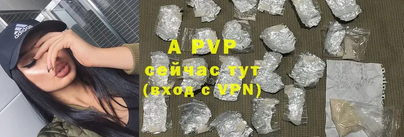 A PVP СК  Курск 